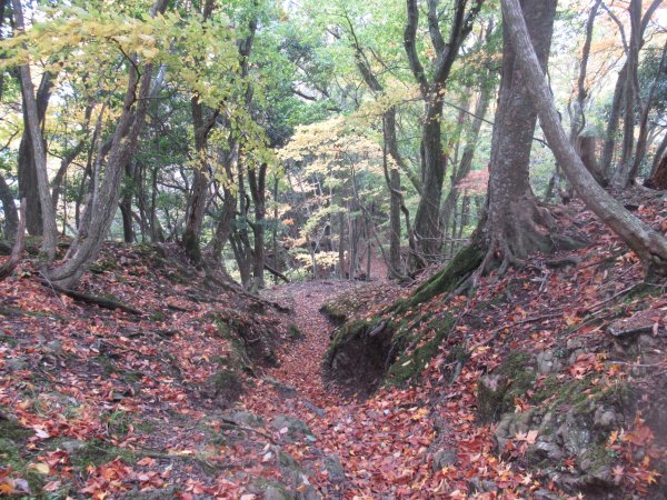 登山道